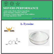 Factory Supply Amino Acids L-Tyrosine with Best Price